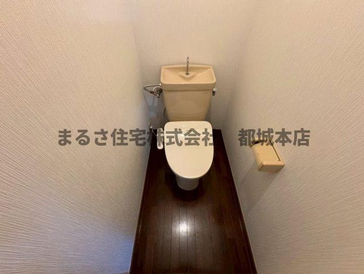 Graceのその他画像