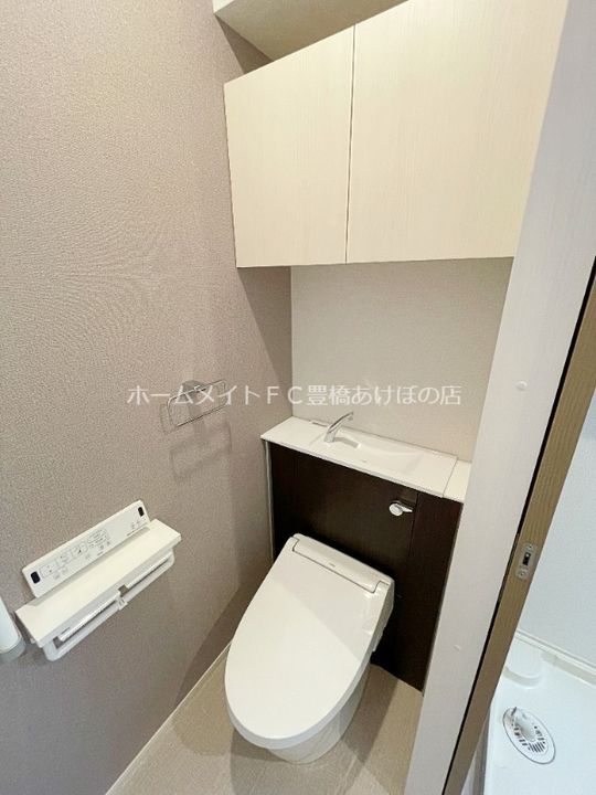 ブルーデイジーのその他画像