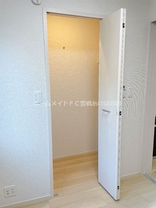 ブルーデイジーのその他画像