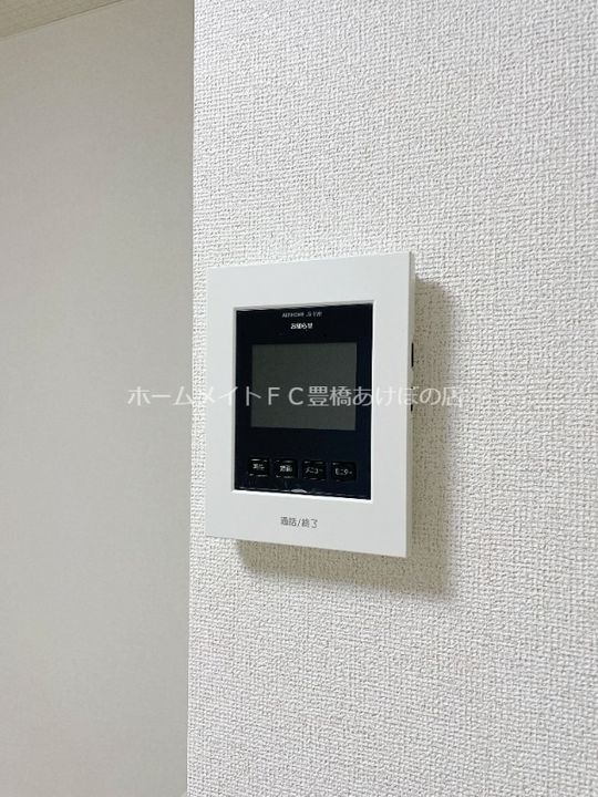 ブルーデイジーのその他画像