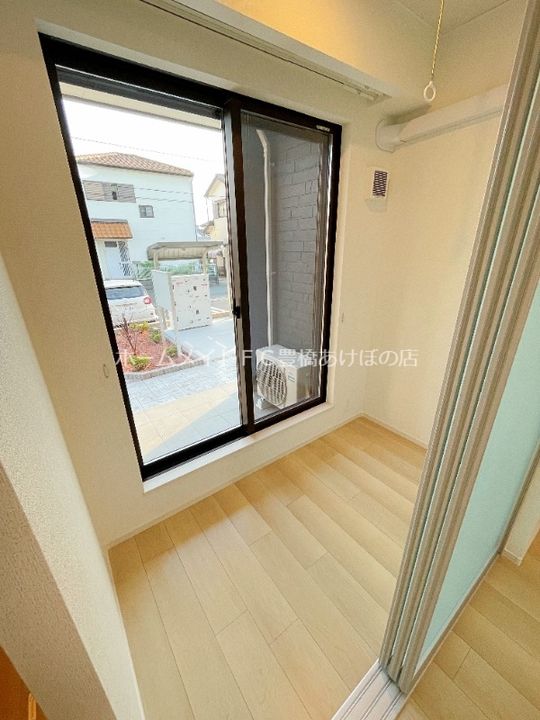 ブルーデイジーのその他画像