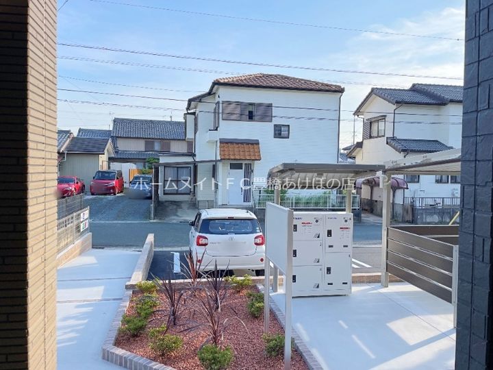 ブルーデイジーのその他画像