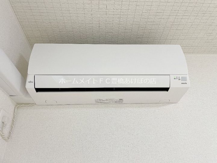 ブルーデイジーのその他画像