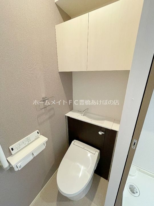 ブルーデイジーのその他画像