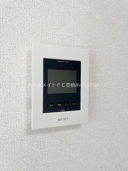 ブルーデイジーのその他画像