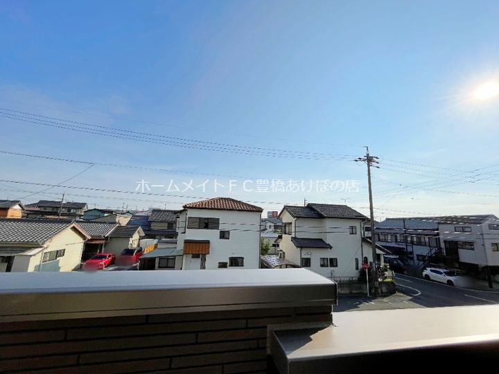 ブルーデイジーのその他画像