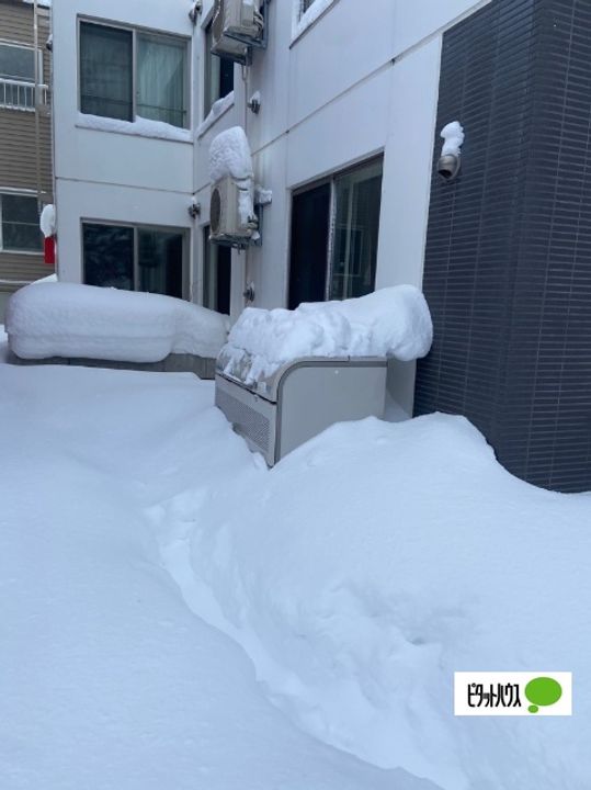 北海道札幌市手稲区手稲本町二条3丁目の賃貸マンションのその他画像