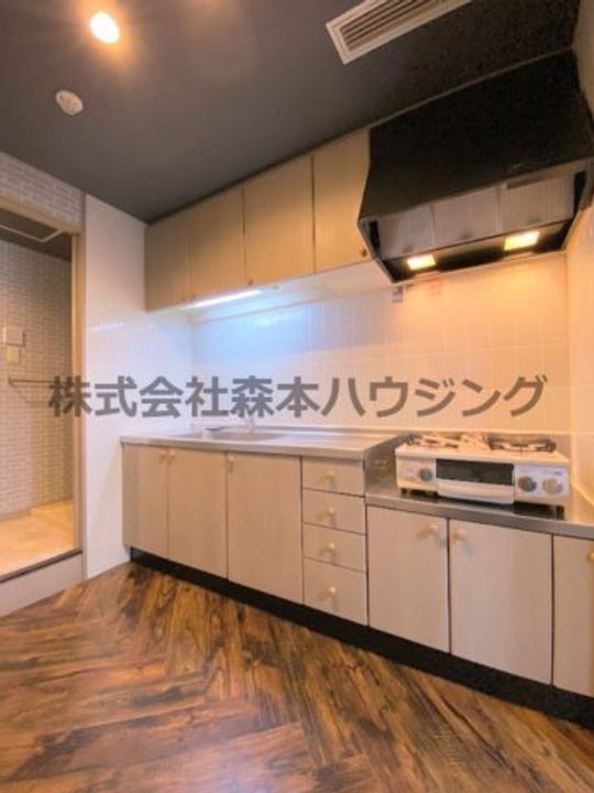 PHOENIX COURT 交野Ⅰ 309のキッチン