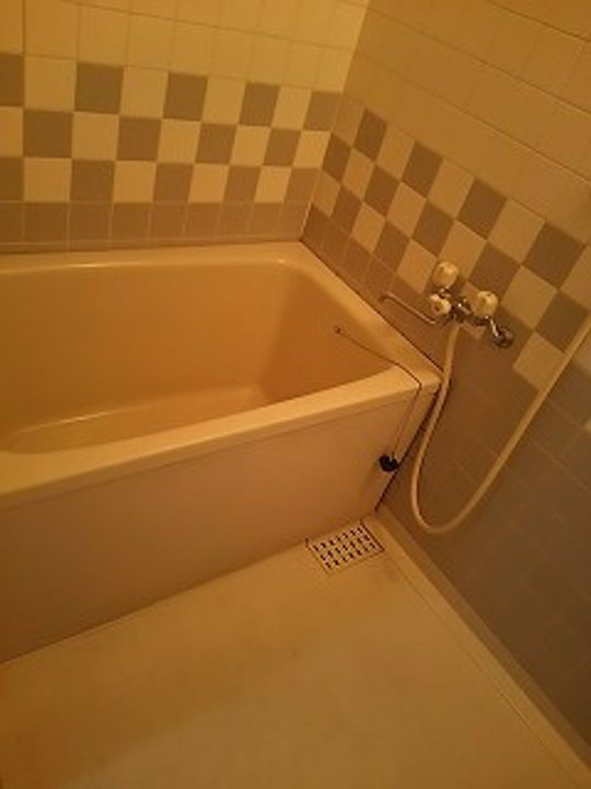 フォレステージ大宮の風呂