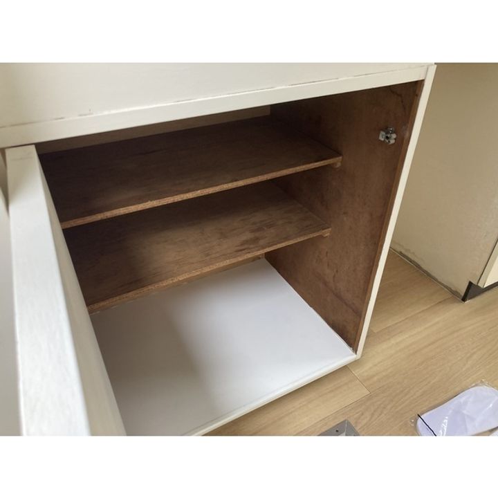 トレニアのその他画像