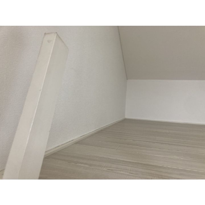 トレニアのその他画像