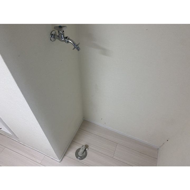 柿の木ヴィレッジⅡの玄関