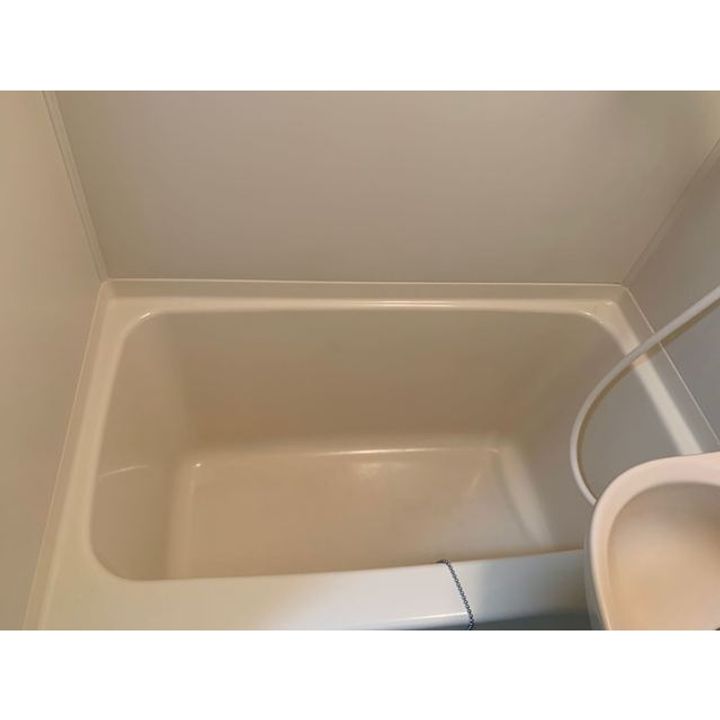 ドミトリー望星402の風呂