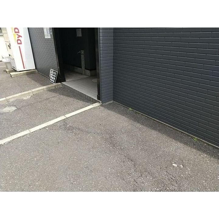 オリーブのその他画像