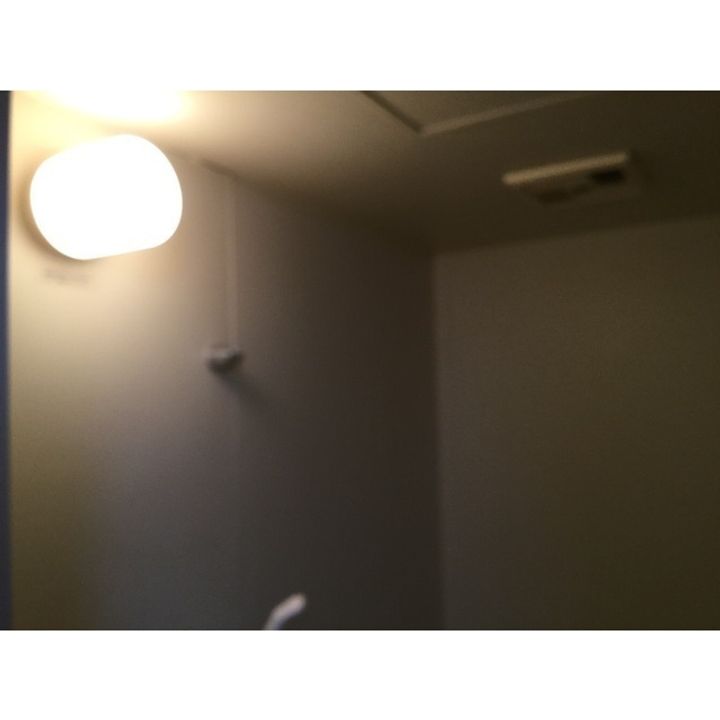 フルハウスのその他画像