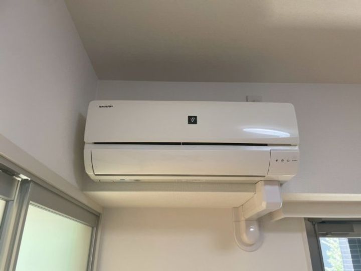 ルーエ錦のその他画像