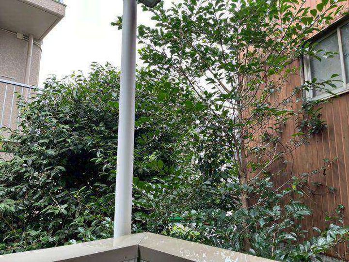 ラ・カーサ・ミーアのその他画像