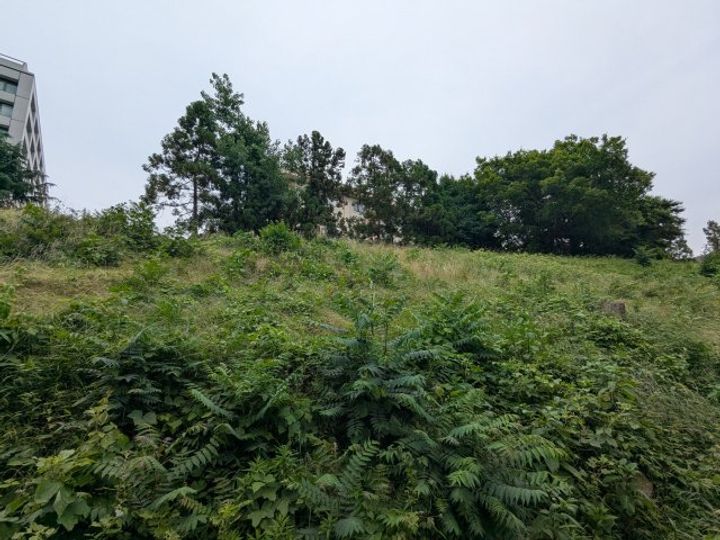 三の丸殿のその他画像