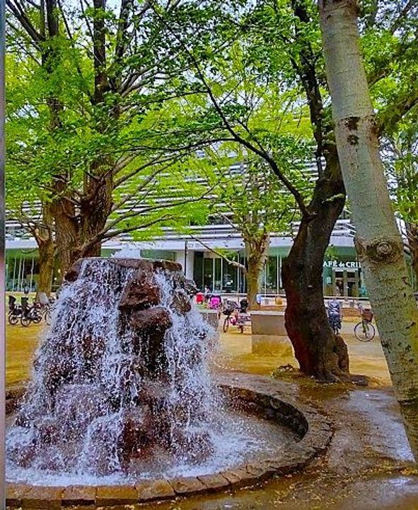 ハーモニーテラス中台の周辺