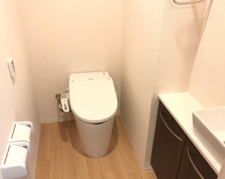 東京都墨田区本所1丁目の賃貸マンションの内装