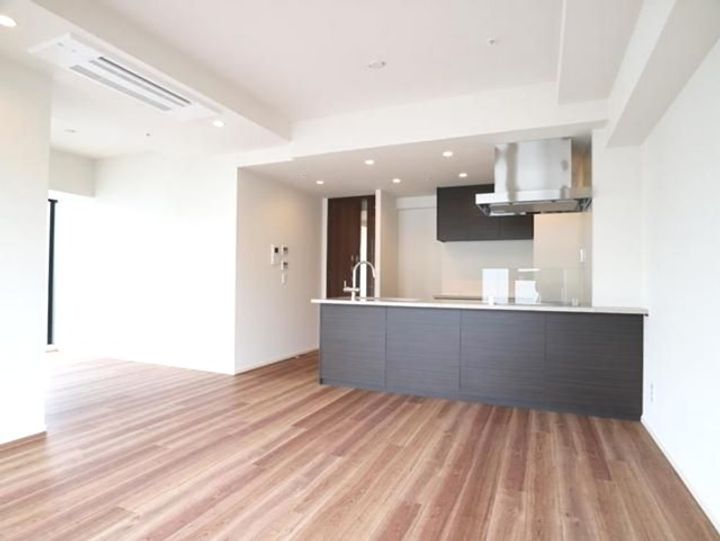 東京都千代田区麹町3丁目の賃貸マンションの居間