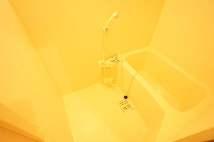 サンライズ湊町801の風呂