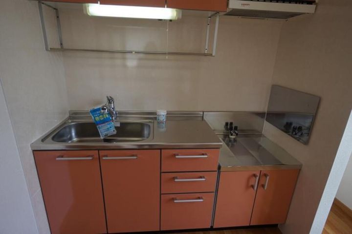 リヴァーパークB棟201のキッチン