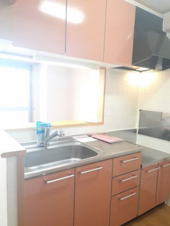 愛知県東海市名和町北向イ山(マンション)の賃貸物件303のキッチン