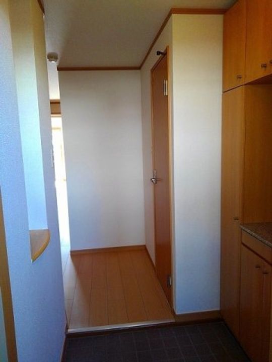 愛知県東海市名和町北向イ山(マンション)の賃貸物件201の玄関