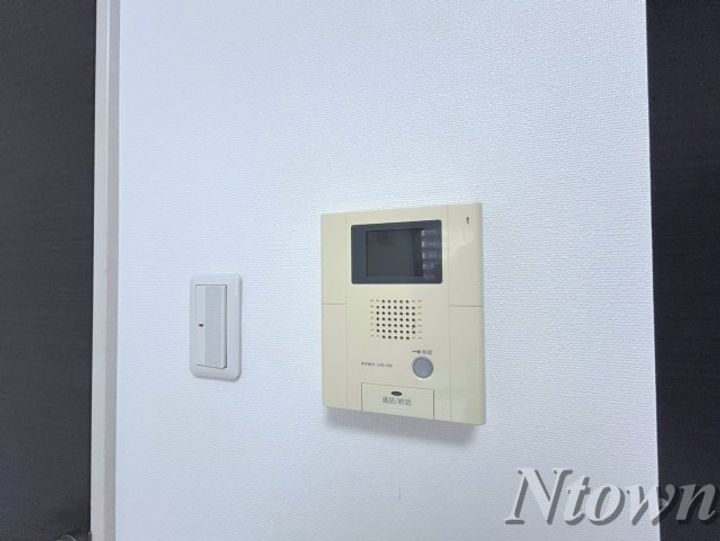 アイボリーのその他画像