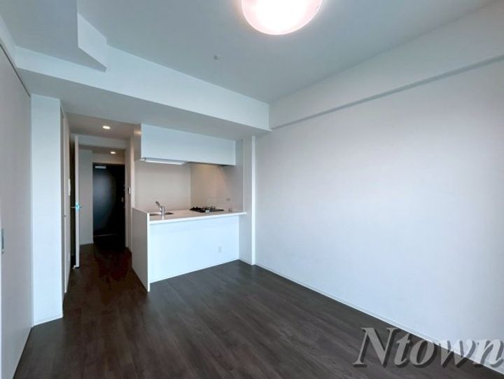 プレサンス太閤通駅前デュプルの内装