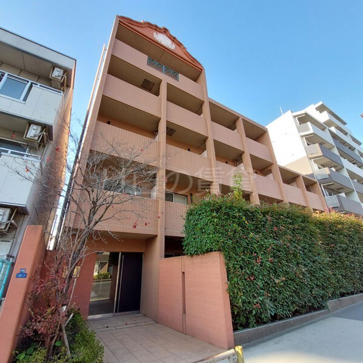 angel beetleの外観