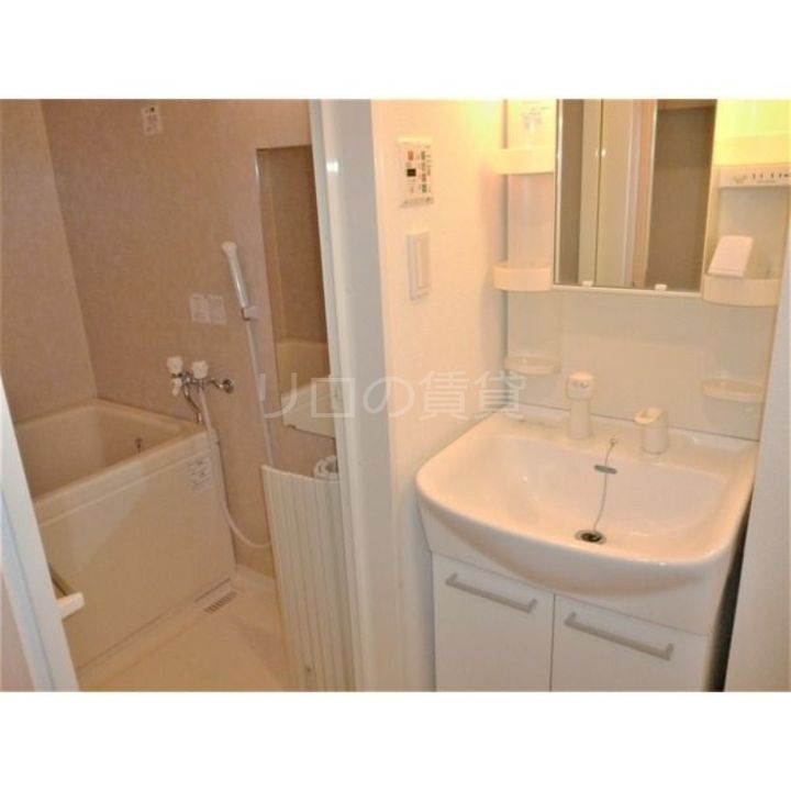 angel beetleのその他画像