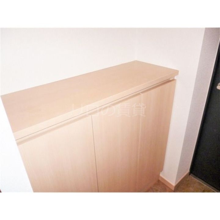 angel beetleのその他画像