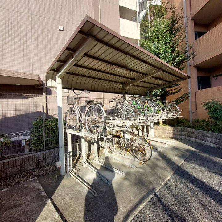 angel beetleのその他画像