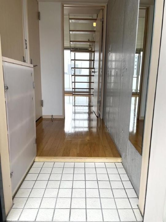 リューレント河原町802の玄関