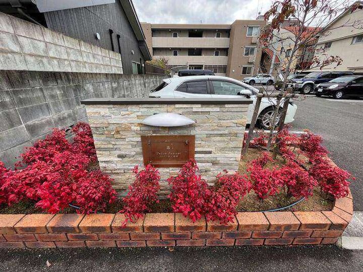 felice岩崎のその他画像