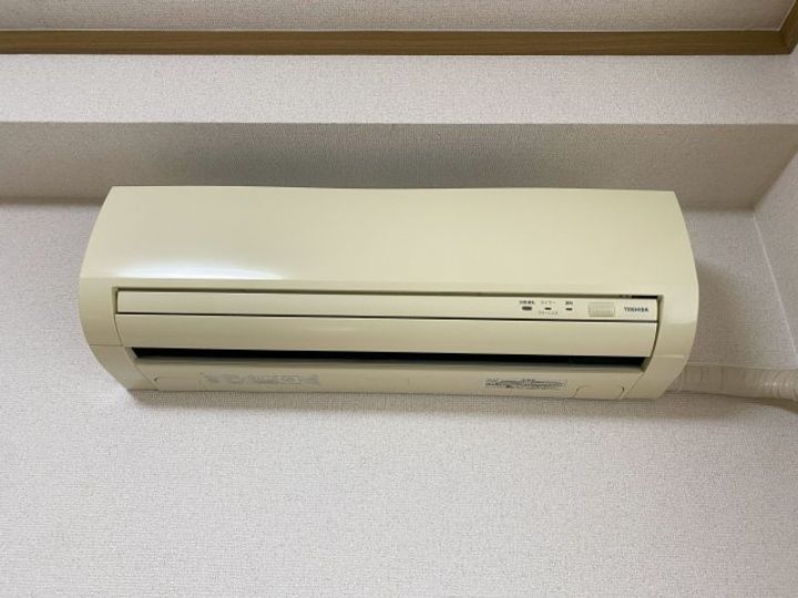 シャン・マンダリーヌA101のその他画像