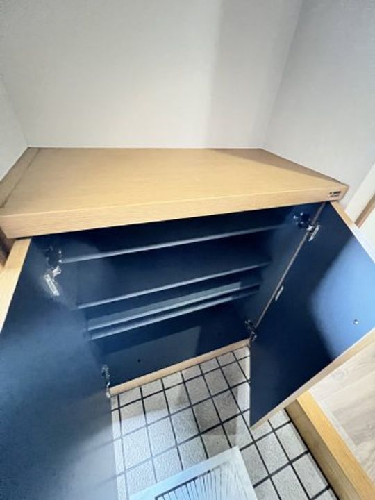 コリーヌ鷹子のその他画像