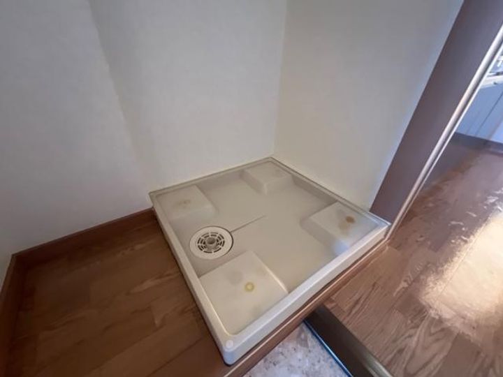 サンシャイン柳のその他画像