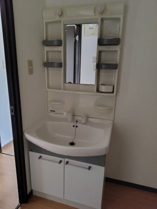 パミドールのその他画像