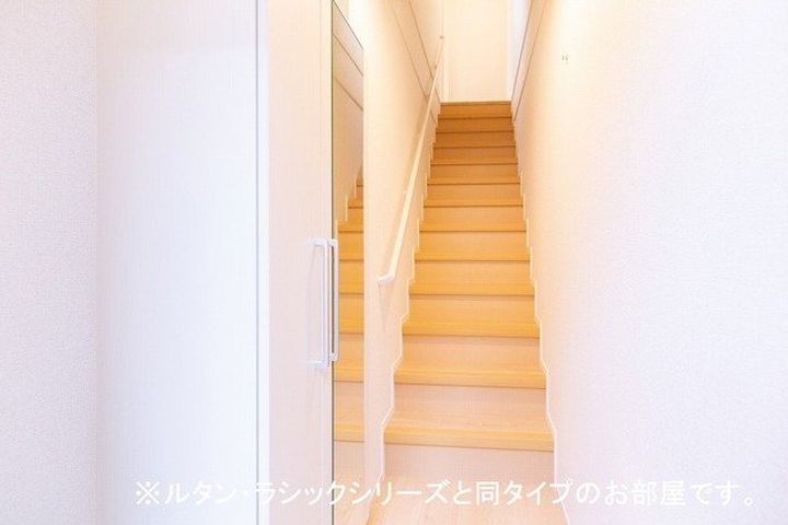 アルストロメリアのその他画像