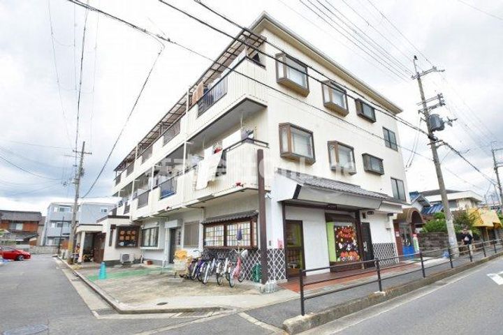 大阪府八尾市上之島町南1丁目（アパート）の賃貸物件の外観