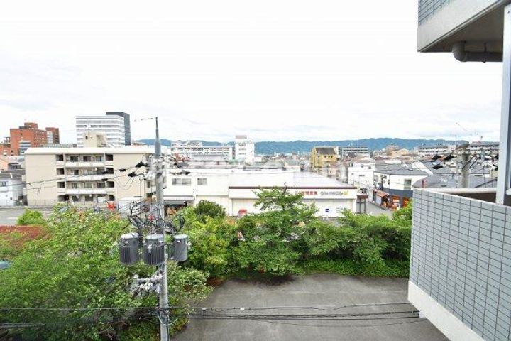 ピーコック・ハウスのその他画像