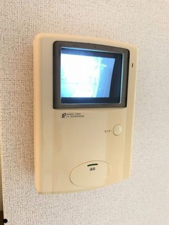 マンダリーナのその他画像