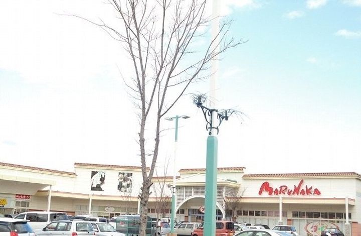 エルディム北山の周辺