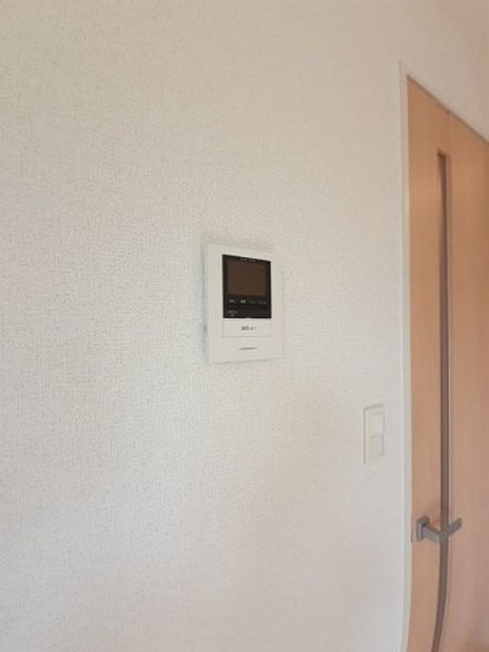 フレスクーラDのその他画像