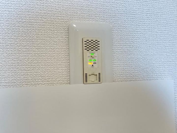 ロココのその他画像