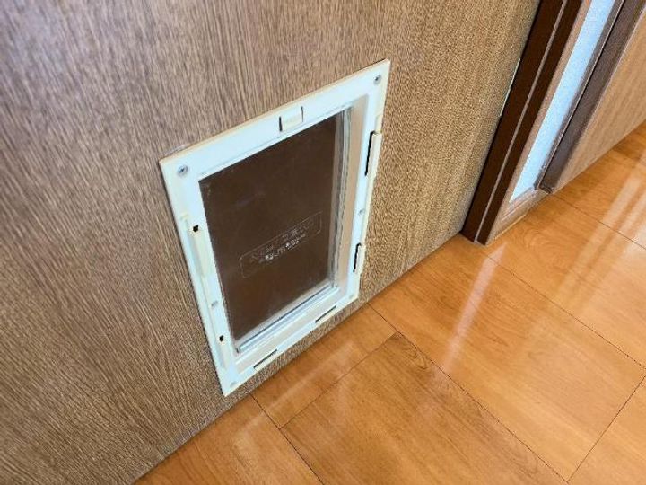 エルビス今里Ⅱのその他画像