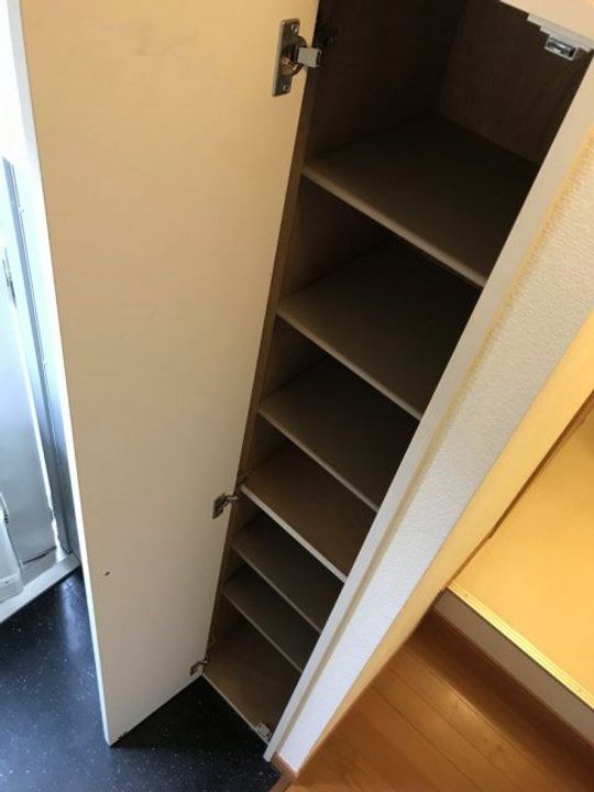 レオパレスコスモ201の玄関